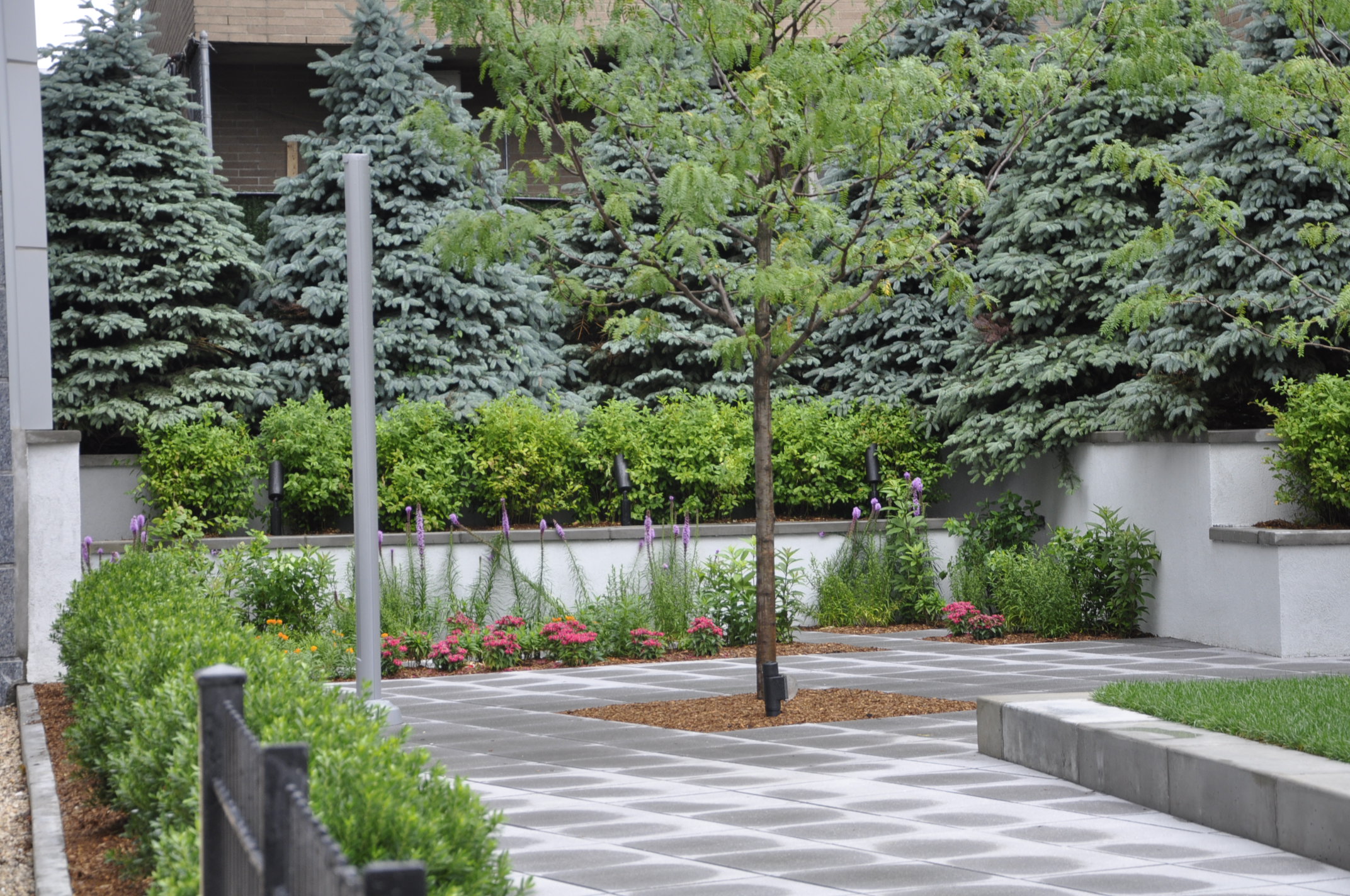 Main Street Parklet Ribbon Cutting Ceremony July 9